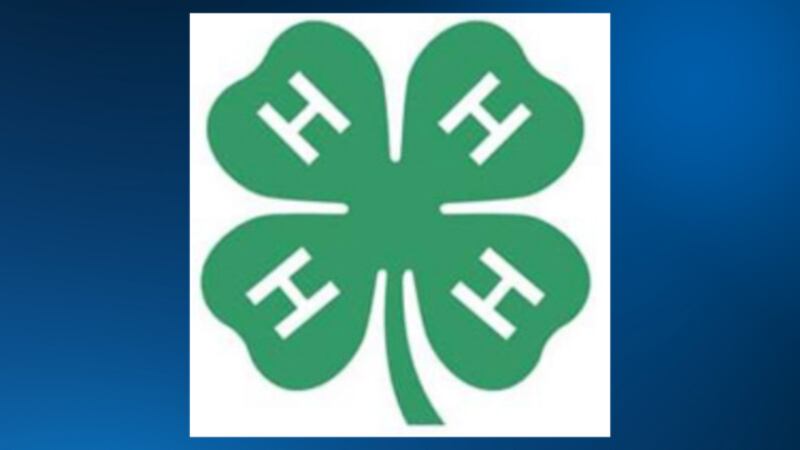 Siouxland 4-H members gear up for upcoming National 4-H Observance week