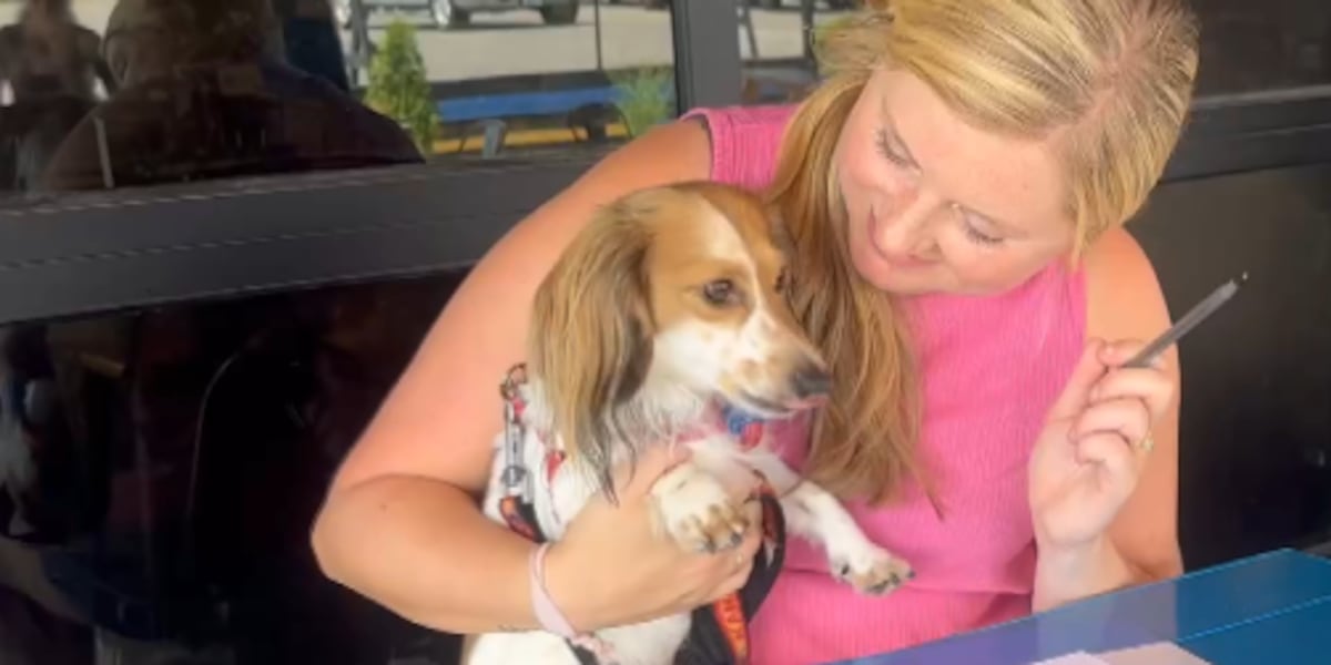 Wagging tails and giving back: doggy pageant raises money for Siouxland Humane Society
