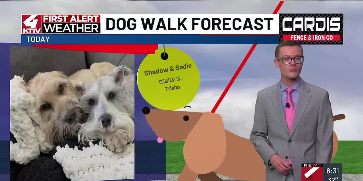 Dog Walk Forecast: Shadow & Sadie