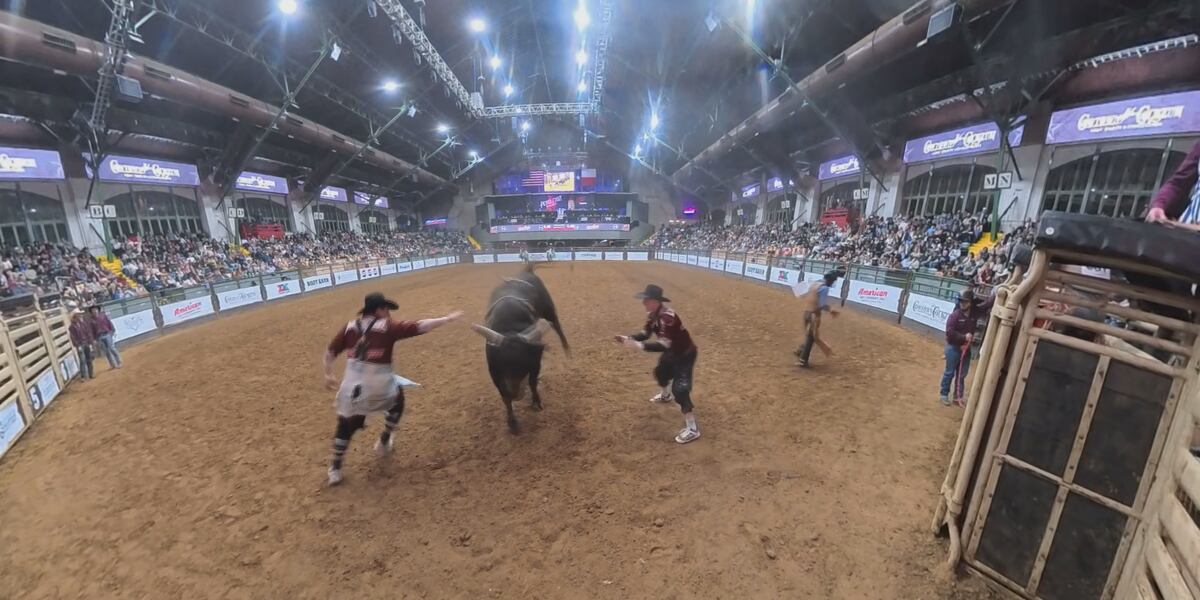 Bogs Rodeo How do members of the Bomgaars Rodeo keep each other safe when bull ...