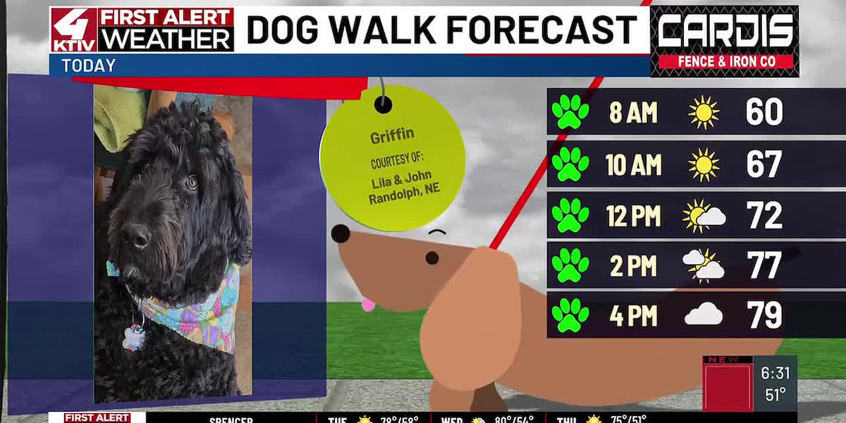 Dog Walk Forecast: Griffin