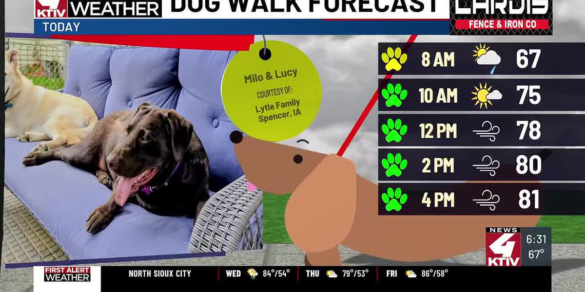 Dog Walk Forecast: Milo & Lucy