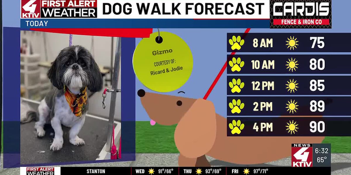 Dog Walk Forecast: Gizmo