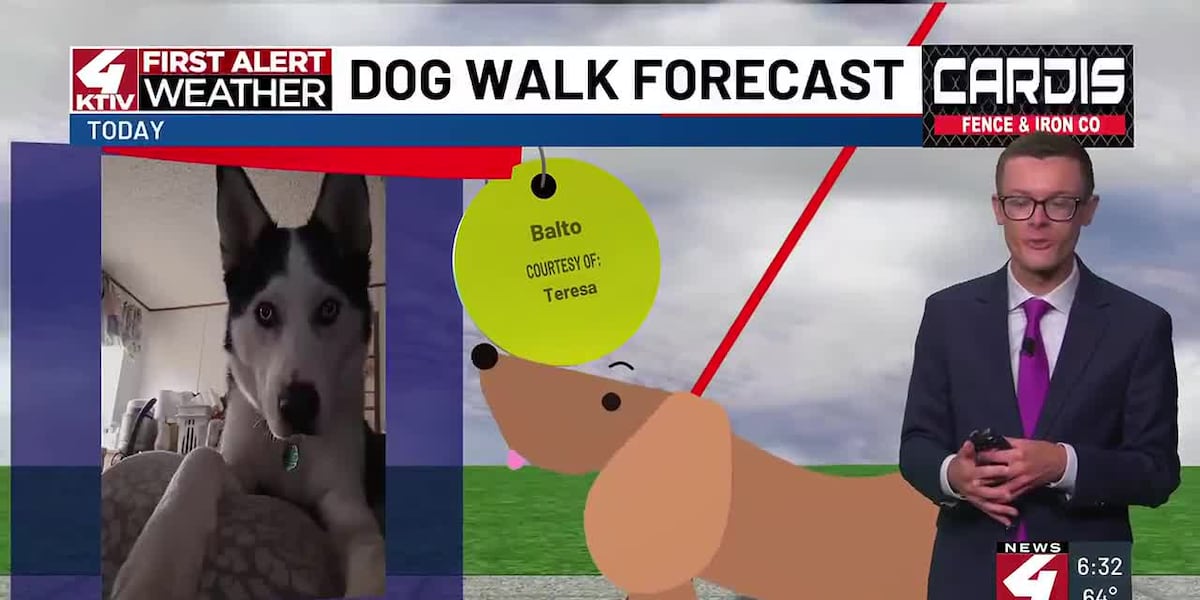 Dog Walk Forecast: Balto