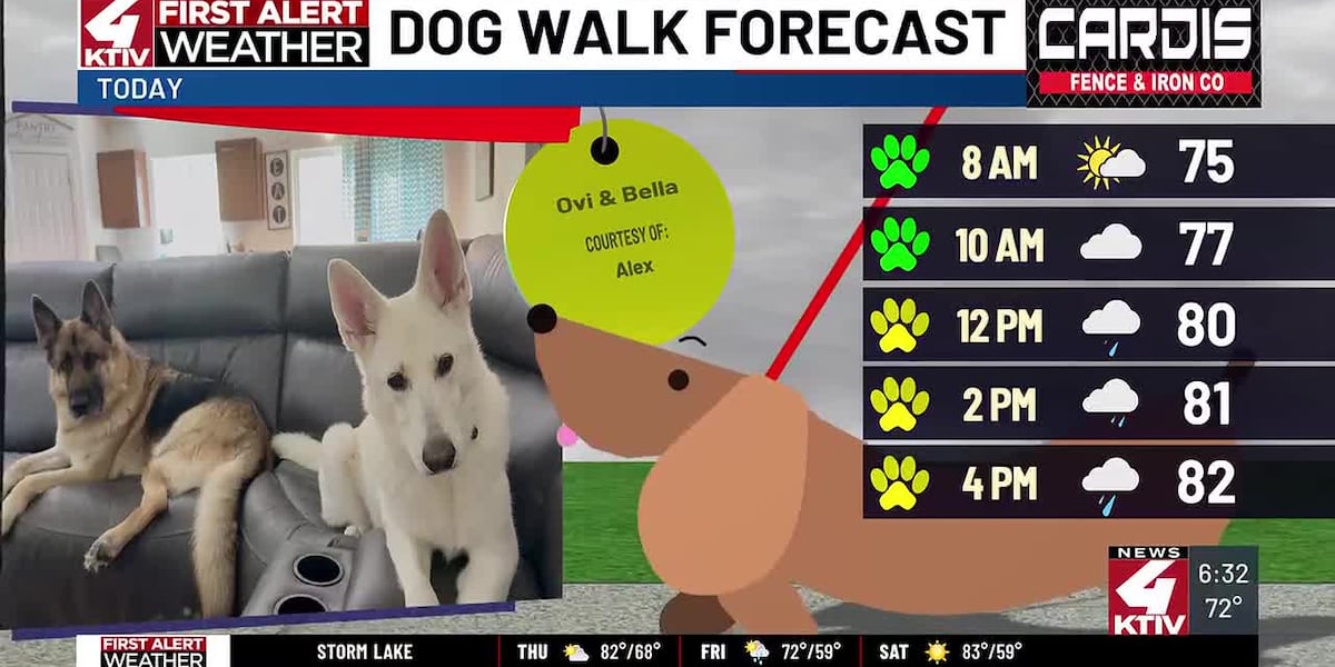 Dog Walk Forecast: Ovi & Bella