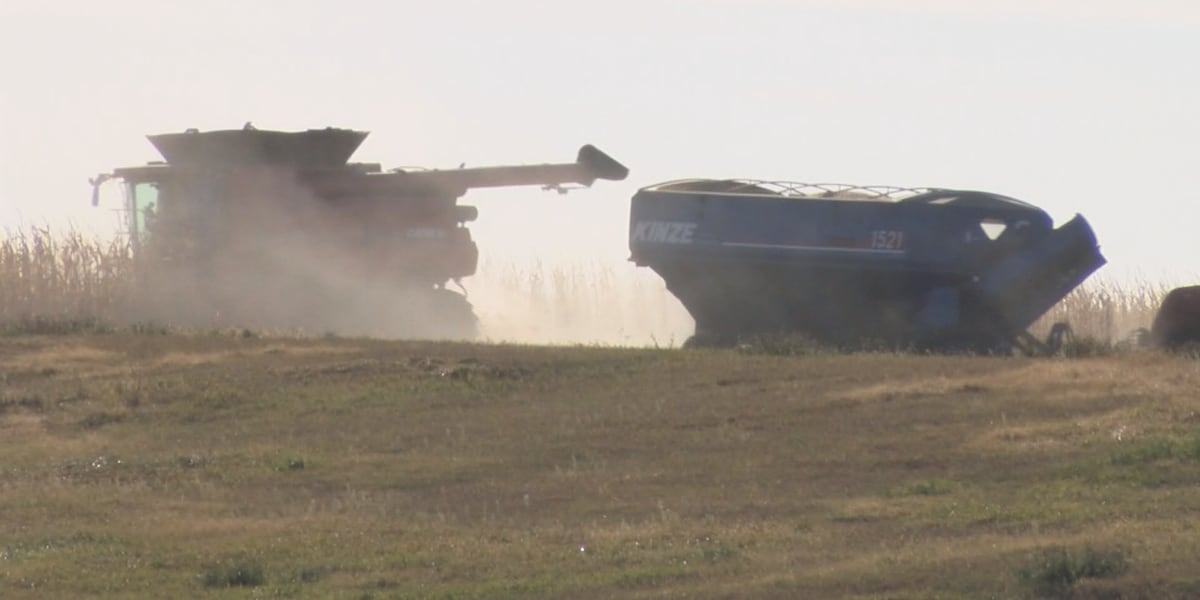 South Dakota Sen. Mike Rounds talks on where the Farm Bill is now South Dakota Sen. Mike Rounds talks on where the Farm Bill is now