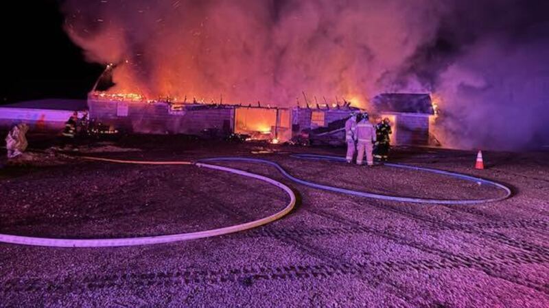 Resident said blonde raccoon made itself at home near Hornick, IA