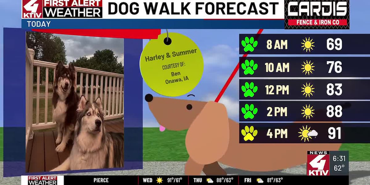 Dog Walk Forecast: Harley & Summer
