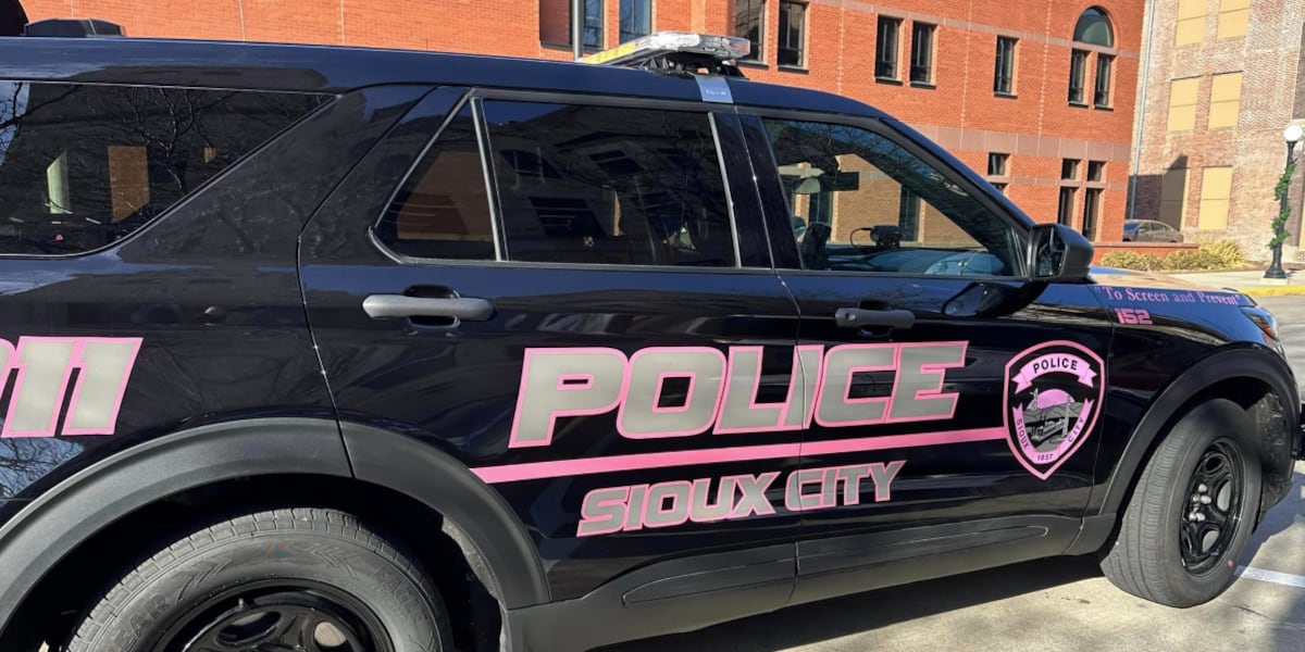 'To screen and prevent' - Sioux City Police add new pink cruiser to fleet ...