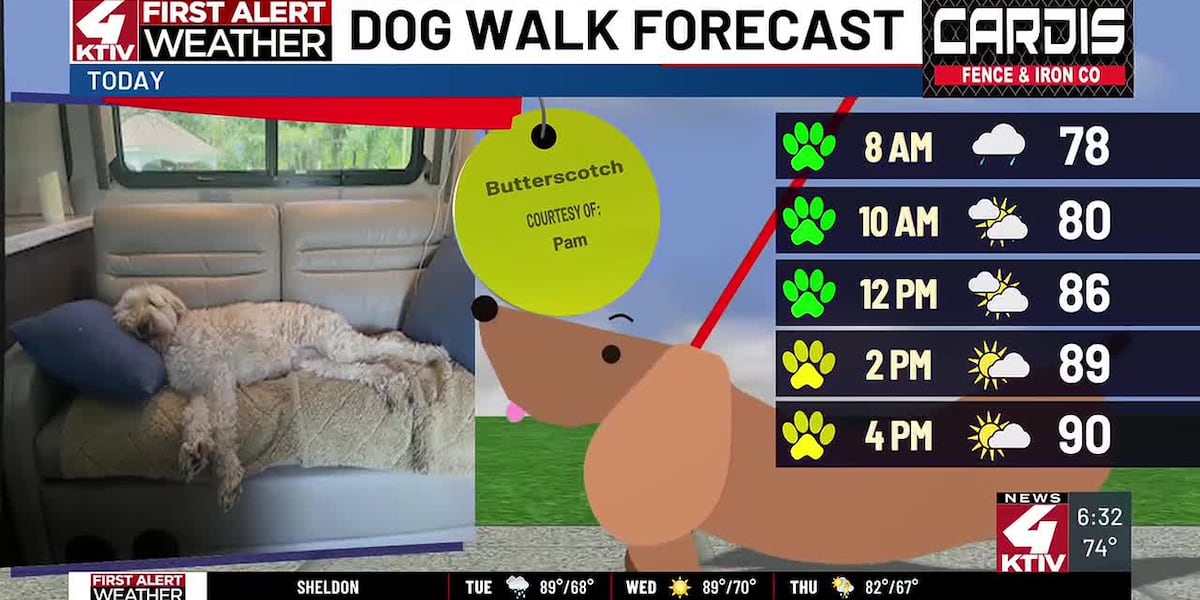 Dog Walk Forecast: Butterscotch