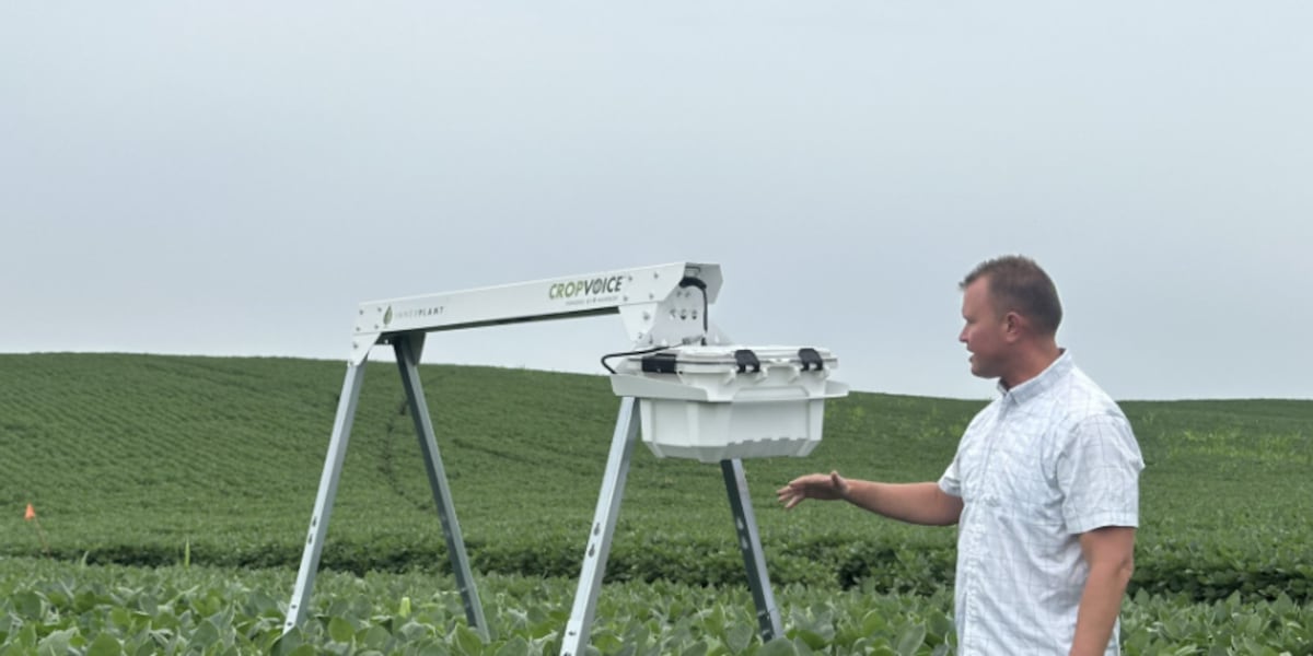 New technology for farmers lets crops signal disease before it’s visible