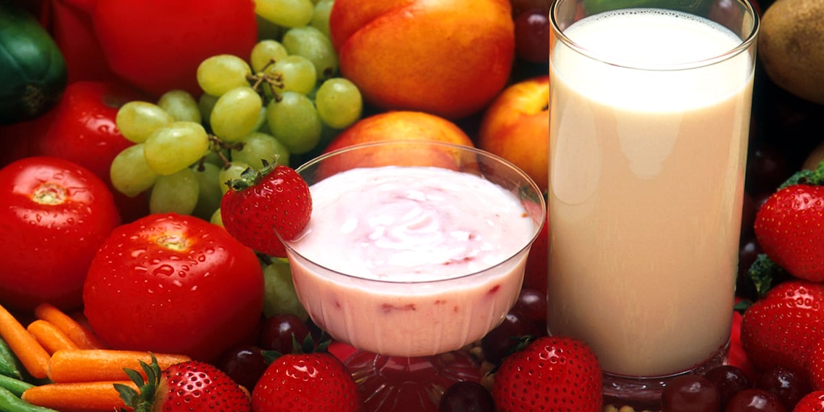 Iowa's 'Healthy Kids Iowa' Summer Meal Program: Ensuring Kids Don't Go Hungry